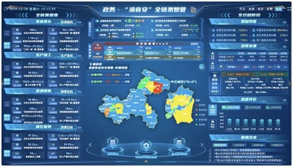 重慶7個案例獲評全國數字化監管典型，數據處理服務成關鍵驅動力